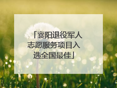 襄阳退役军人志愿服务项目入选全国最佳