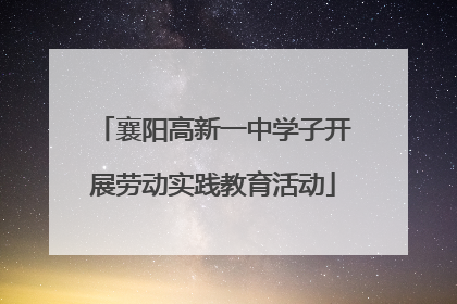 襄阳高新一中学子开展劳动实践教育活动