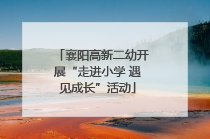 襄阳高新二幼开展“走进小学 遇见成长”活动