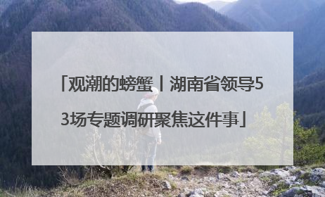 观潮的螃蟹丨湖南省领导53场专题调研聚焦这件事