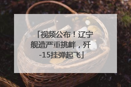 视频公布！辽宁舰遭严重挑衅，歼-15挂弹起飞