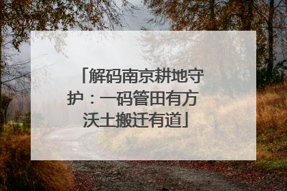 解码南京耕地守护：一码管田有方 沃土搬迁有道