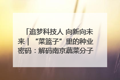 追梦科技人 向新向未来｜“菜篮子”里的种业密码：解码南京蔬菜分子育种的创新之路