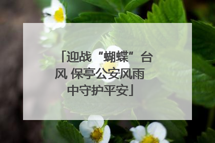 迎战“蝴蝶”台风 保亭公安风雨中守护平安