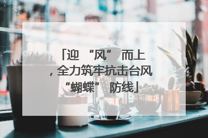 迎 “风” 而上，全力筑牢抗击台风 “蝴蝶” 防线