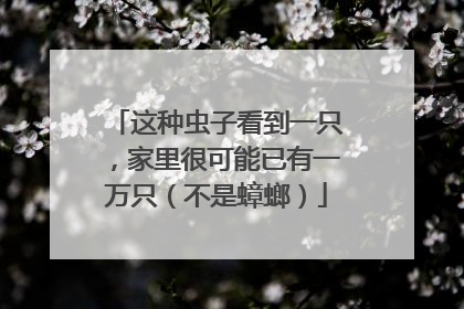 这种虫子看到一只，家里很可能已有一万只（不是蟑螂）