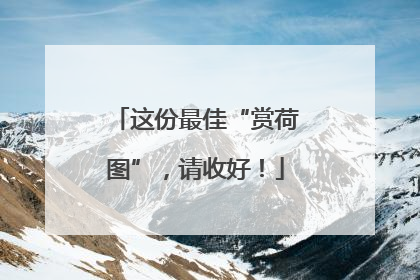 这份最佳“赏荷图”，请收好！