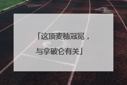 这顶麦穗冠冕，与拿破仑有关