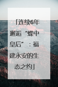连续6年邂逅“蝶中皇后”：福建永安的生态之约