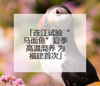 连江试验“马面鱼”夏季高温混养 为福建首次