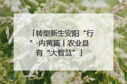 转型新生安阳“行”·内黄篇丨农业县有“大智慧”