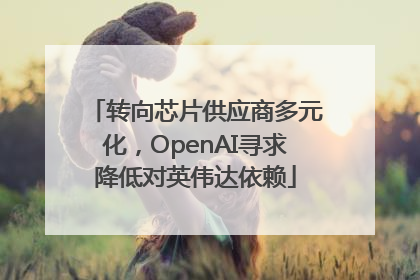 转向芯片供应商多元化，OpenAI寻求降低对英伟达依赖
