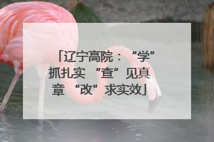 辽宁高院：“学”抓扎实 “查”见真章 “改”求实效