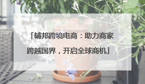 辅邦跨境电商：助力商家跨越国界，开启全球商机