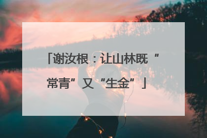 谢汝根：让山林既“常青”又“生金”