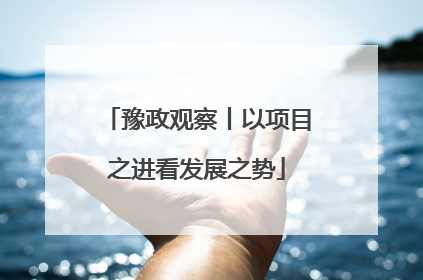 豫政观察丨以项目之进看发展之势