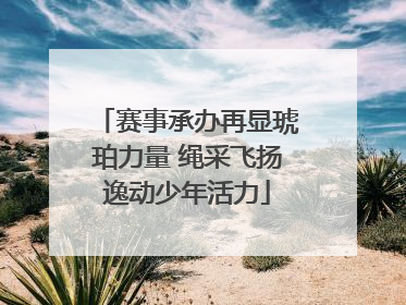 赛事承办再显琥珀力量 绳采飞扬逸动少年活力