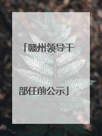 赣州领导干部任前公示