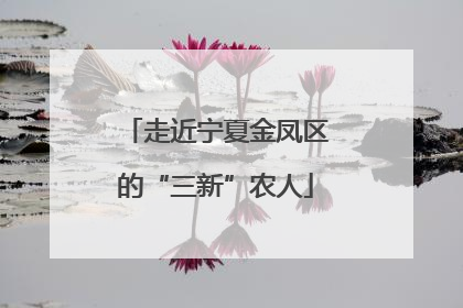 走近宁夏金凤区的“三新”农人