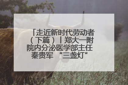 走近新时代劳动者（下篇）丨郑大一附院内分泌医学部主任秦贵军 “三盏灯”下的医者人生
