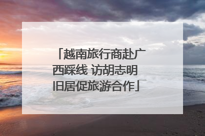 越南旅行商赴广西踩线 访胡志明旧居促旅游合作