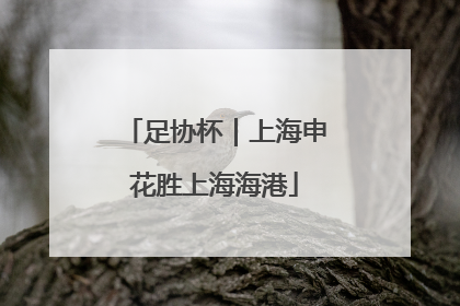 足协杯｜上海申花胜上海海港