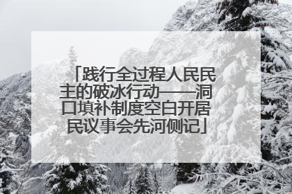 践行全过程人民民主的破冰行动——洞口填补制度空白开居民议事会先河侧记