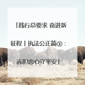 践行总要求 奋进新征程丨执法公正篇③：赤胆忠心守平安