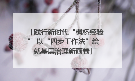 践行新时代“枫桥经验” 以“四步工作法”绘就基层治理新画卷