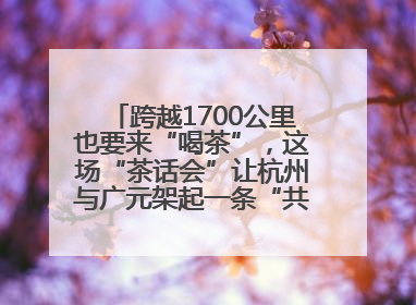 跨越1700公里也要来“喝茶”，这场“茶话会”让杭州与广元架起一条“共富之路”