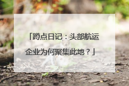 蹲点日记：头部航运企业为何聚集此地？