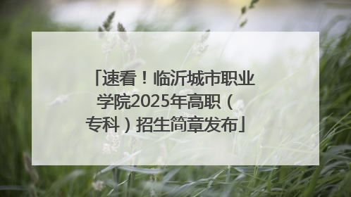 速看！临沂城市职业学院2025年高职（专科）招生简章发布