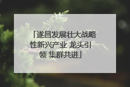遂昌发展壮大战略性新兴产业 龙头引领 集群共进