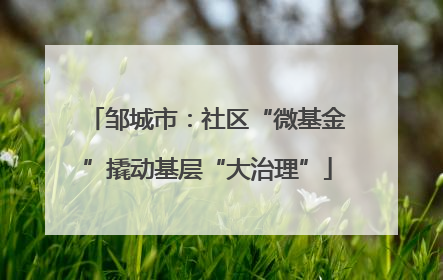 邹城市：社区“微基金”撬动基层“大治理”