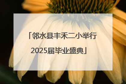 邻水县丰禾二小举行2025届毕业盛典