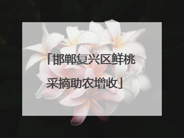 邯郸复兴区鲜桃采摘助农增收