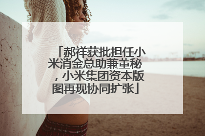 郝祥获批担任小米消金总助兼董秘，小米集团资本版图再现协同扩张