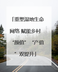 重塑湿地生命网络 赋能乡村“颜值”“产值”双提升