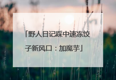 野人日记踩中速冻饺子新风口：加魔芋