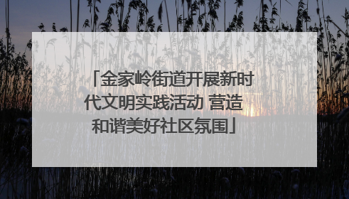 金家岭街道开展新时代文明实践活动 营造和谐美好社区氛围