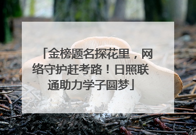金榜题名探花里，网络守护赶考路！日照联通助力学子圆梦