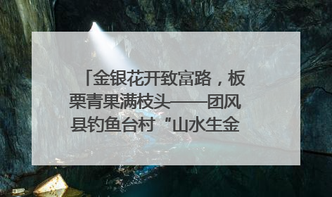 金银花开致富路，板栗青果满枝头——团风县钓鱼台村“山水生金”谱写共富新篇章