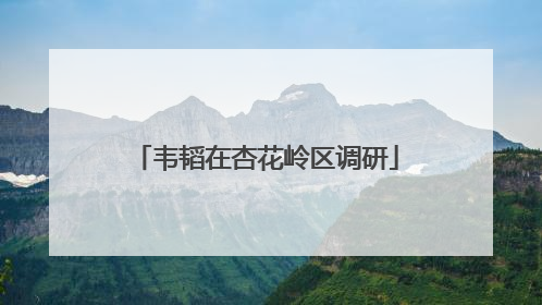 韦韬在杏花岭区调研