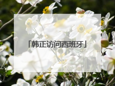 韩正访问西班牙