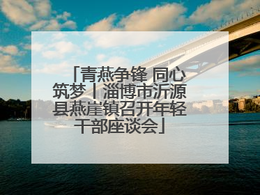 青燕争锋 同心筑梦丨淄博市沂源县燕崖镇召开年轻干部座谈会