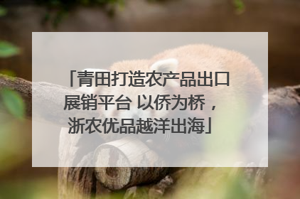 青田打造农产品出口展销平台 以侨为桥，浙农优品越洋出海