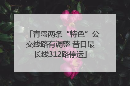 青岛两条“特色”公交线路有调整 昔日最长线312路停运
