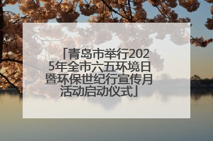 青岛市举行2025年全市六五环境日暨环保世纪行宣传月活动启动仪式