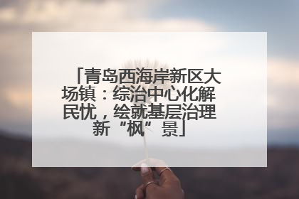 青岛西海岸新区大场镇：综治中心化解民忧，绘就基层治理新“枫”景