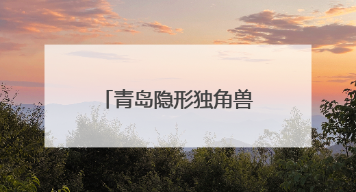 青岛隐形独角兽企业媒体行：揭秘智能家居、芯片技术等创新亮点 共绘科技新篇章